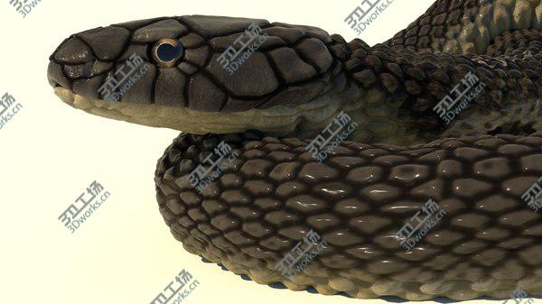 images/goods_img/20210312/Indian Cobra Rigged Animated 3D/4.jpg